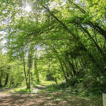 Petit Est - Eco In Large Private Garden Near Saint-emilion Holiday home Blasimon
