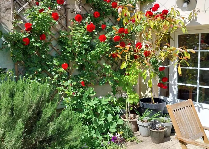 Petit Est - Eco In Large Private Garden Near Saint-emilion